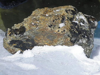 Метеорит GRA 06128. Фото с сайта Университета Мэриленда