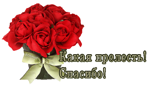 Вы прелесть картинки